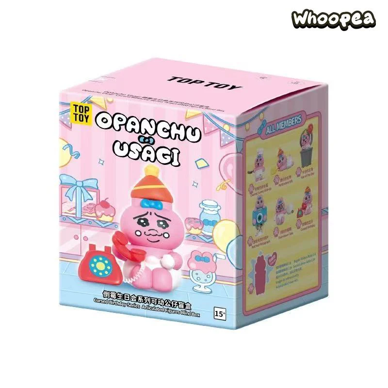 Opanchu Usagi Cursed Birthday Series Figure Blind Box - Image 10